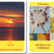 tarot bedeutung auf den Karten