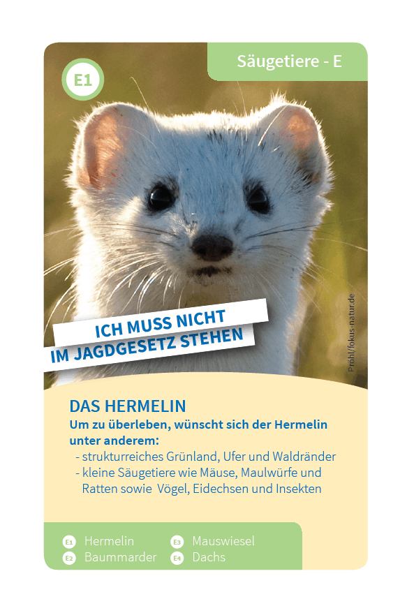 quartettkarten Tierschutz tierquartett